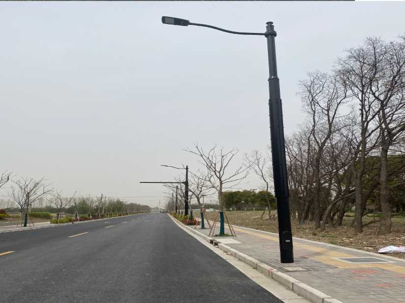 涪陵区上海综合杆 太阳能路灯工程
